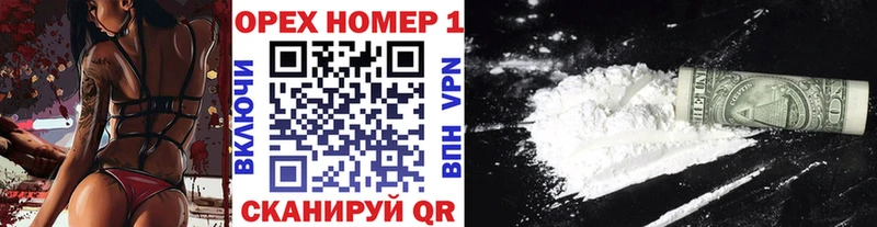COCAIN Боливия закладки Дигора
