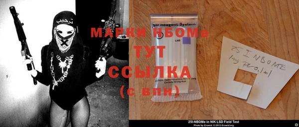 хмурый Белокуриха