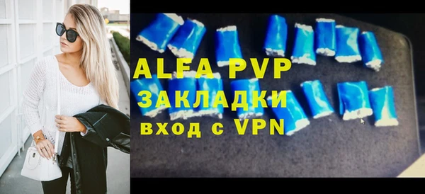 хмурый Белокуриха