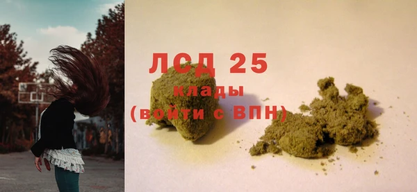 хмурый Белокуриха