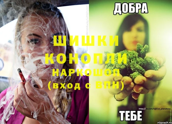 хмурый Белокуриха