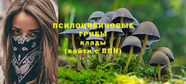 хмурый Белокуриха