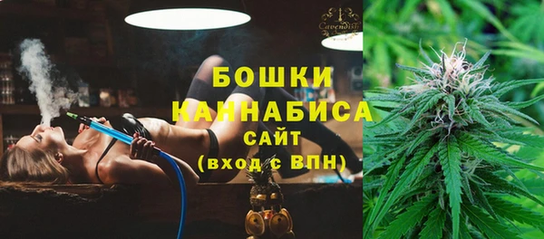 хмурый Белокуриха