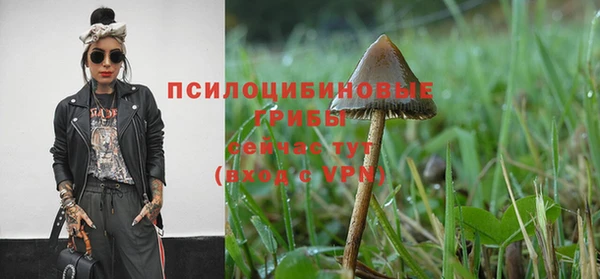 PSILOCYBIN Снежногорск