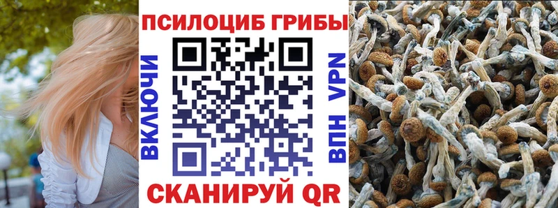 что такое наркотик  Дигора  Псилоцибиновые грибы мицелий 