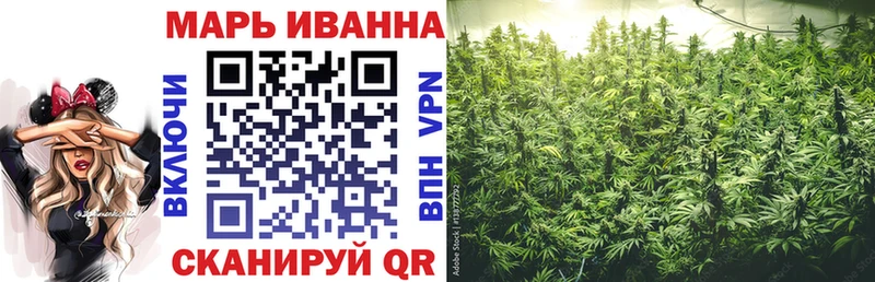 Бошки Шишки семена  Дигора 